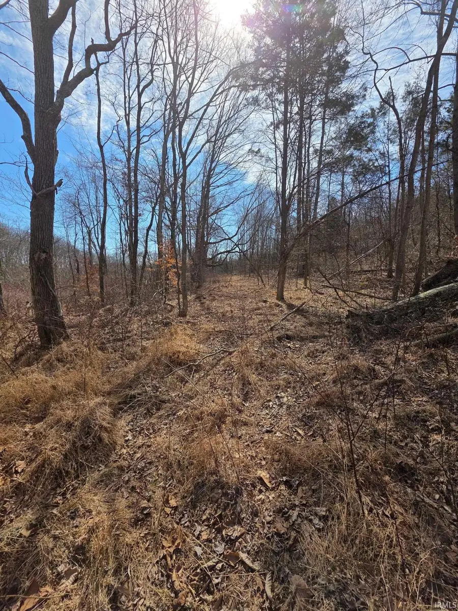 Optical Road, Saint Croix, IN 47576 - #2