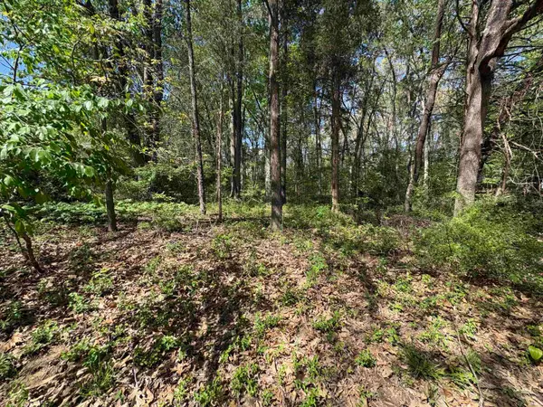 358 W Evergreen N Plaza, Santa Claus, IN 47579