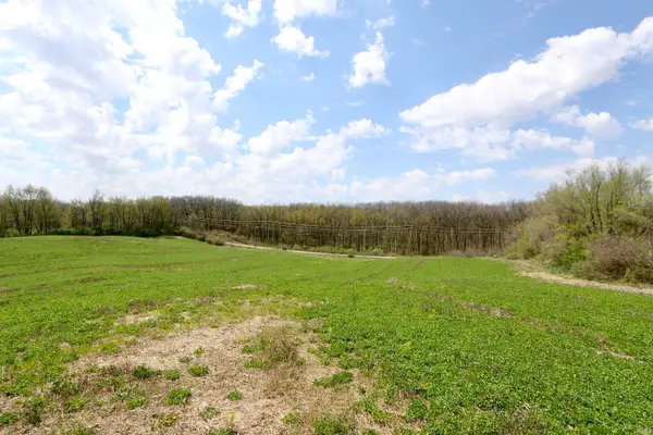 0000 N 100 E, Angola, IN 46703