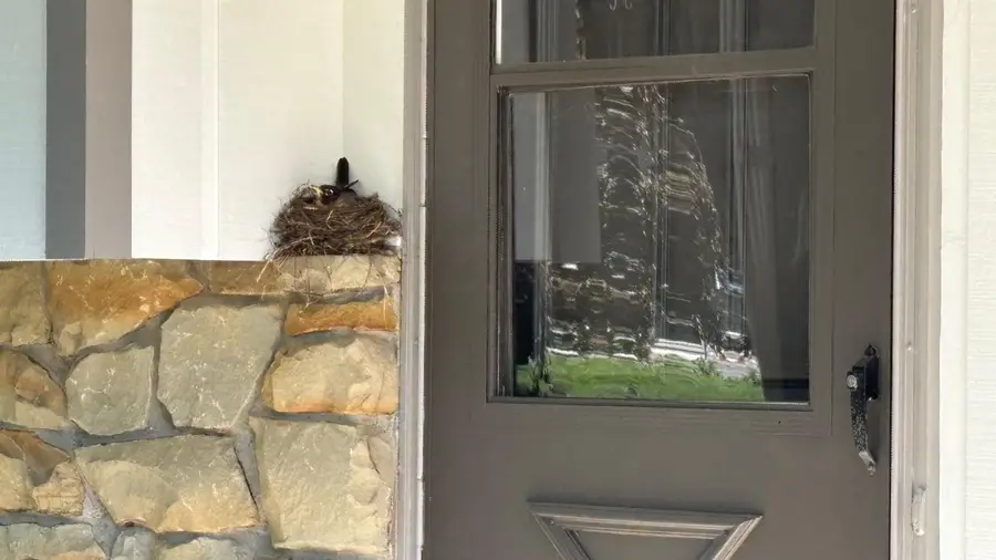 720 S Westwood Drive, Bloomington, IN 47403 - #3