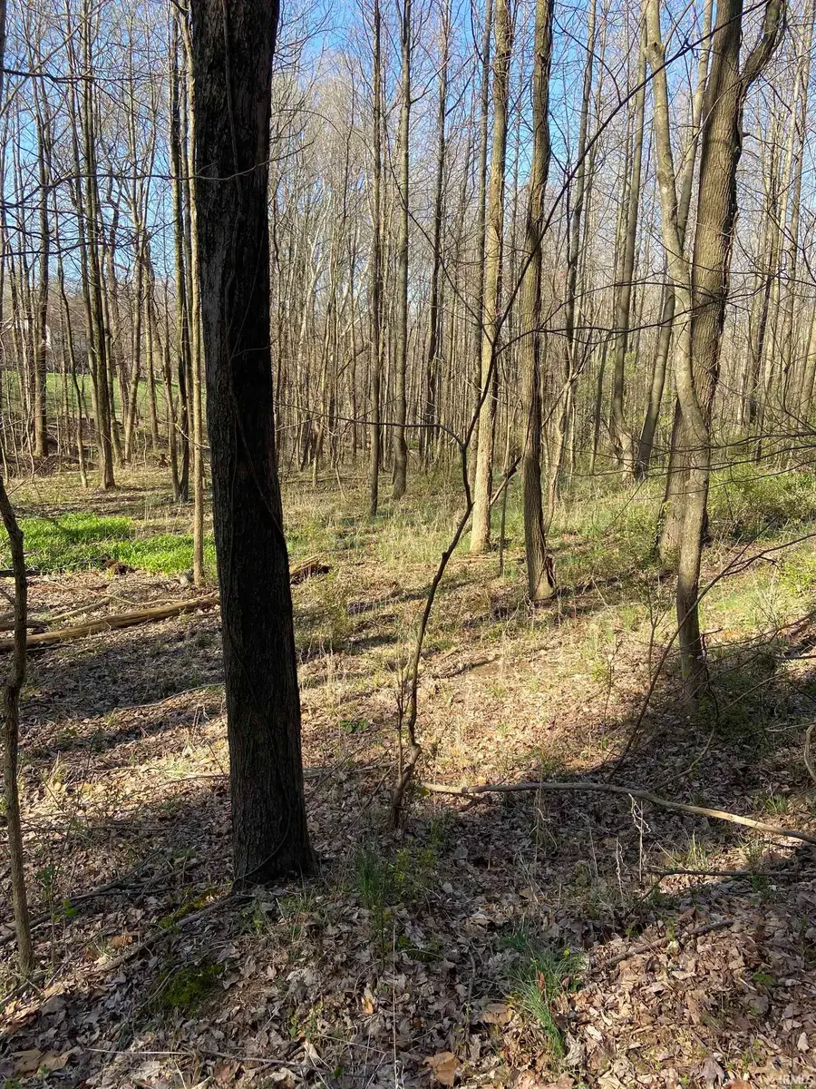 N Backbone Lane, Jasper, IN 47546 - #2