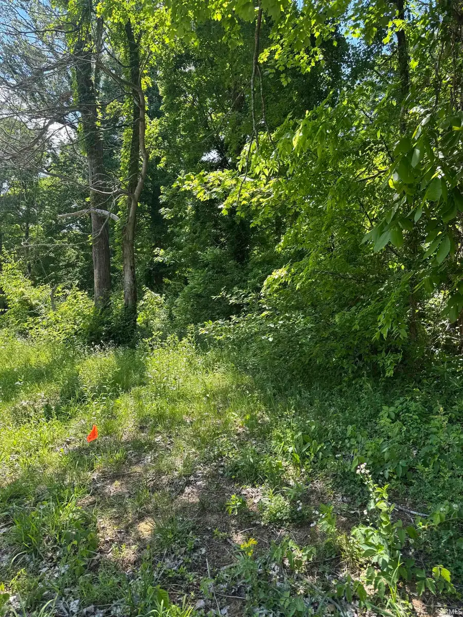 6499 Water Stone Court, Ohio, IN 47620 - #2