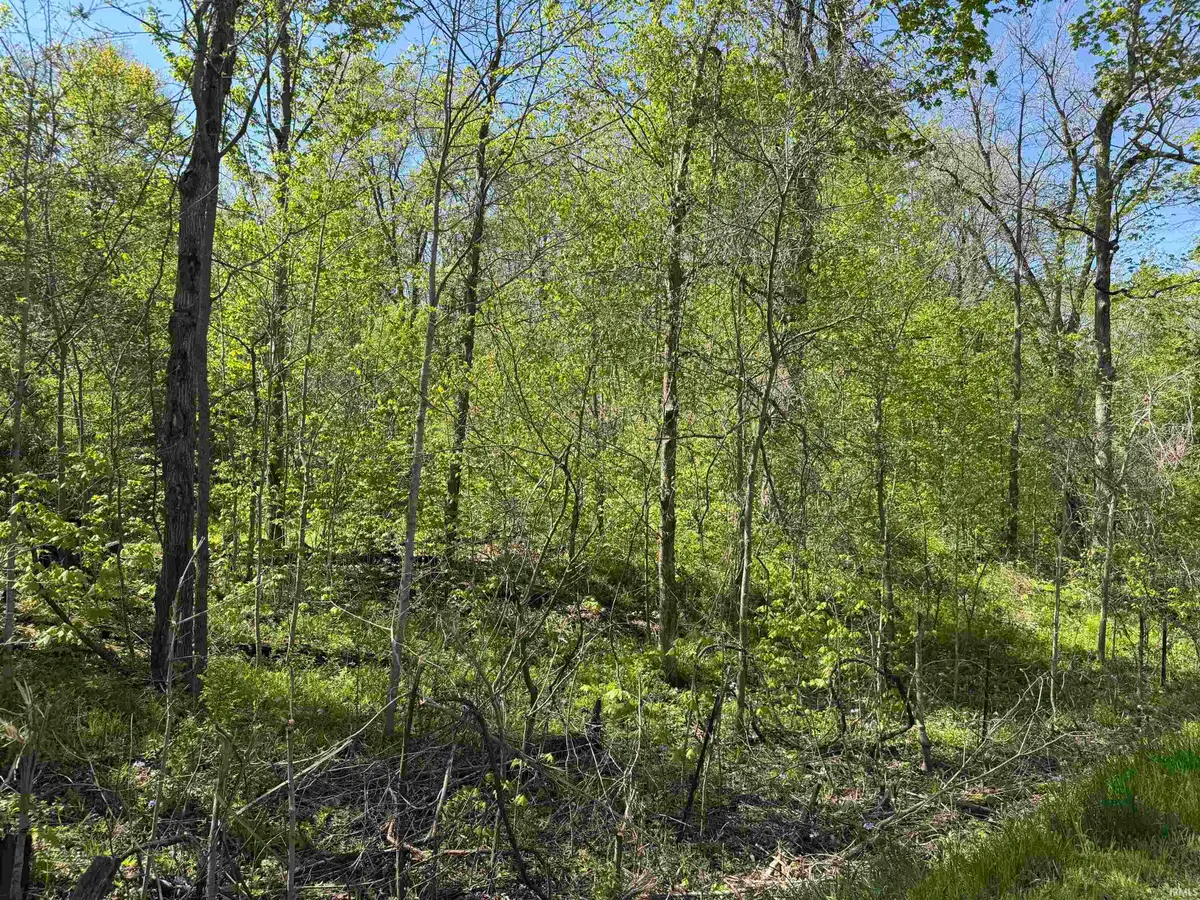 TBD W Cleveland Road, South Whitley, IN 46787 - #1