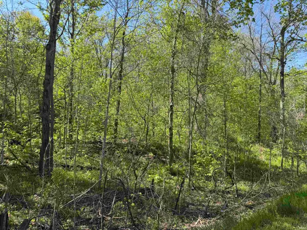 TBD W Cleveland Road, South Whitley, IN 46787