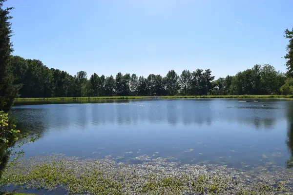 11741 Vienna Road, Wadesville, IN 47638