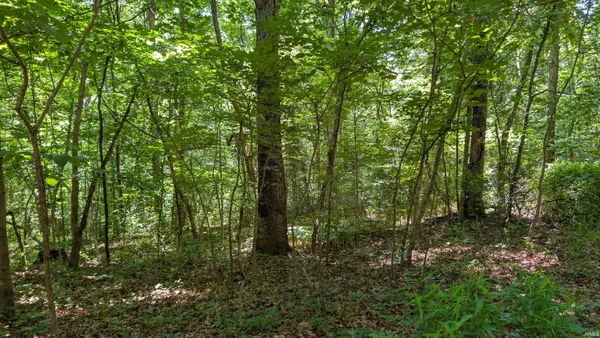 Lot 16 Bell Hollow Road, Cannelton, IN 47520