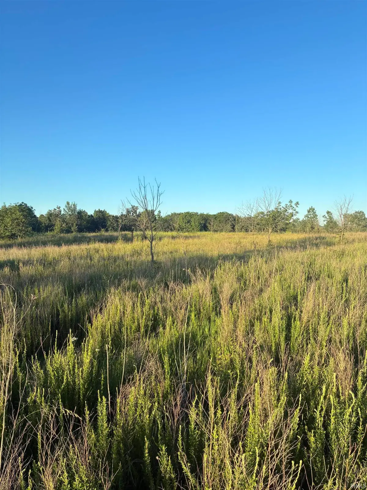 0 Stanley Road, Elberfeld, IN 47613 - #1
