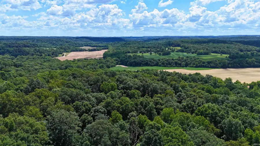 42 Acres 8669 Bird Lane, Shoals, IN 47581 - #3