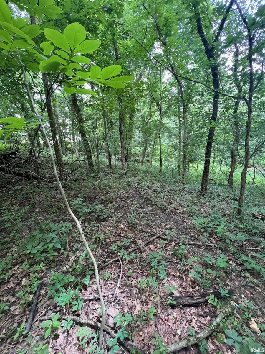 6195 Ashford Circle, Ohio, IN 47630 - #2