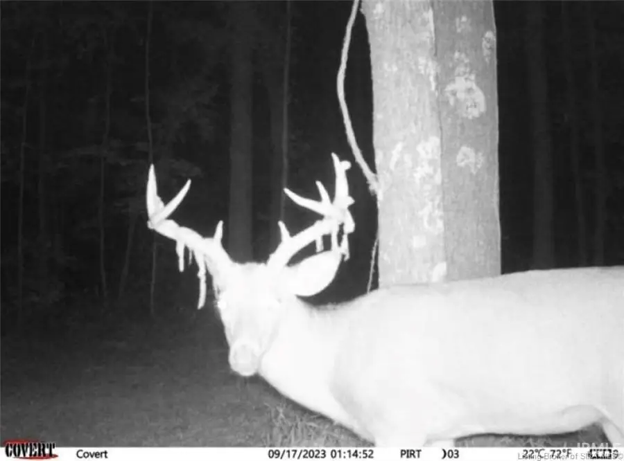 Lot 1 Deer Creek Road, Cannelton, IN 47520 - #2