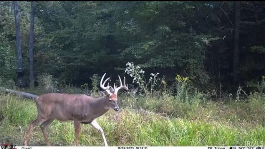 Lot 5 Deer Creek Road, Cannelton, IN 47520 - #3