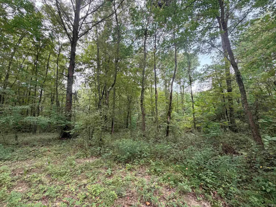 00 St Rd 257 Highway, Velpen, IN 47590 - #3