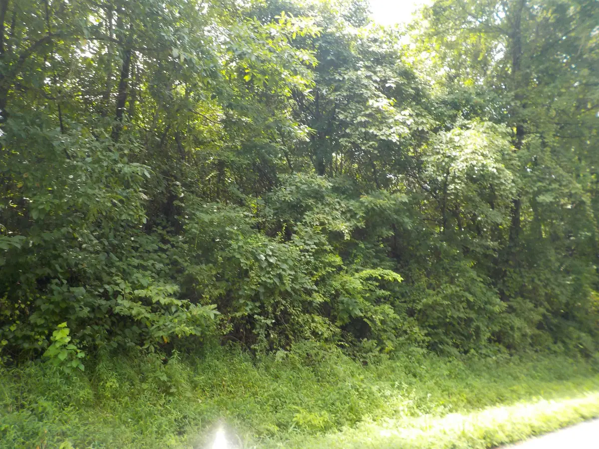 0 E Cr 457 S Road, Winslow, IN 47598 - #1