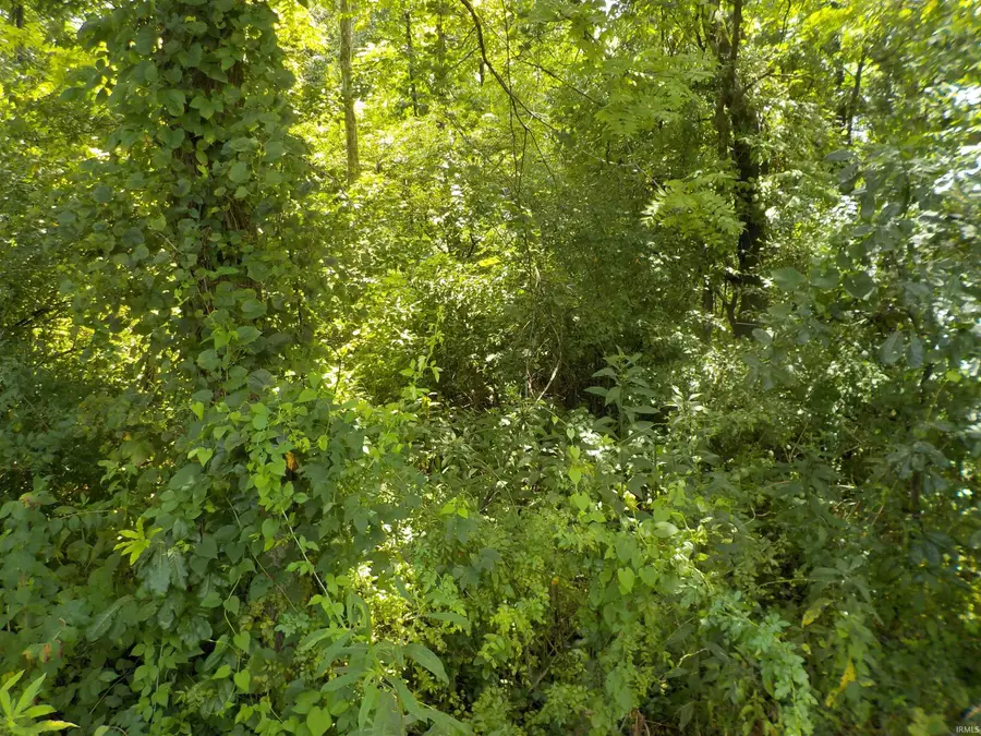 0 E Cr 457 S Road, Winslow, IN 47598 - #2