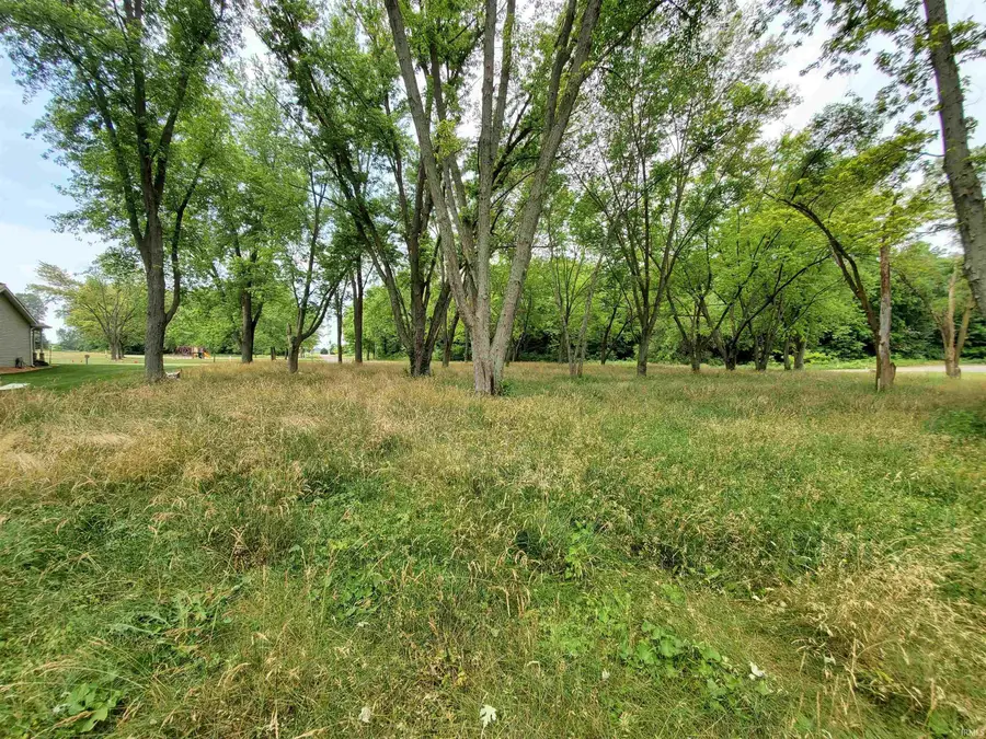 Ln 220 Lot 29 Lane, Hudson, IN 46747 - #3