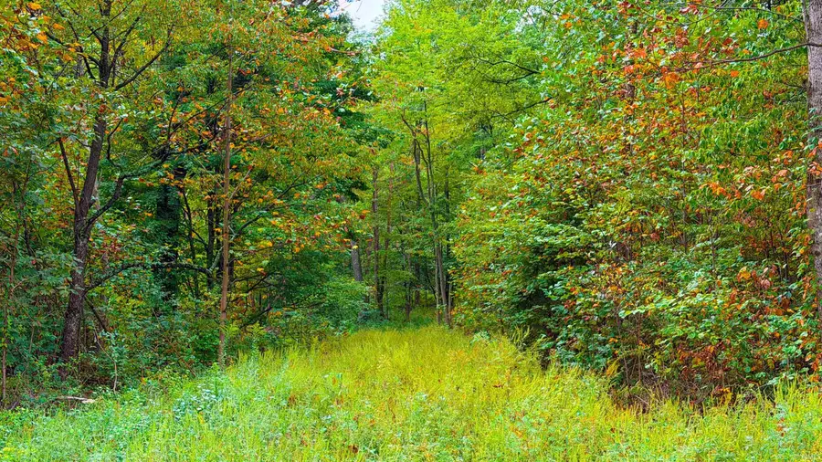2 W Porter Ridge Road, Spencer, IN 47460 - #2