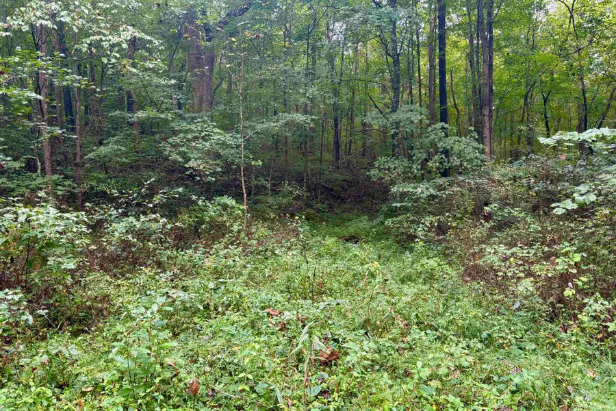 2620 S Co Rd 1000 W Road, French Lick, IN 47432 - #2