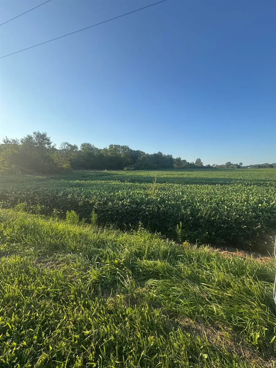 E 700 South, Lynn, IN 47355 - #2
