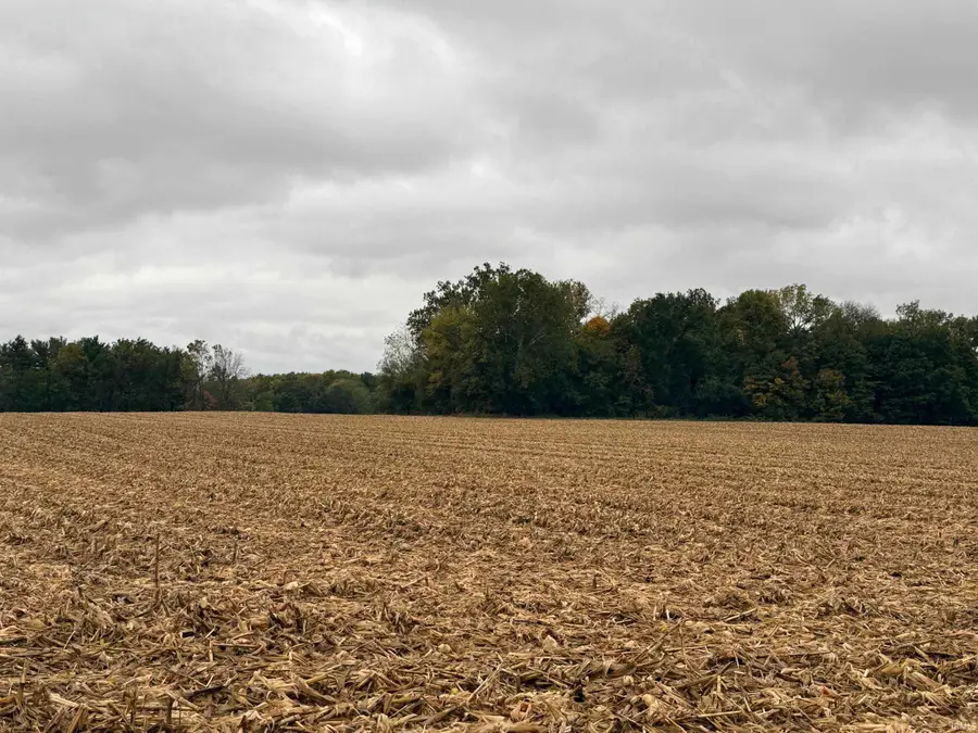 621 E 800 S, Frankfort, IN 46041 - #3