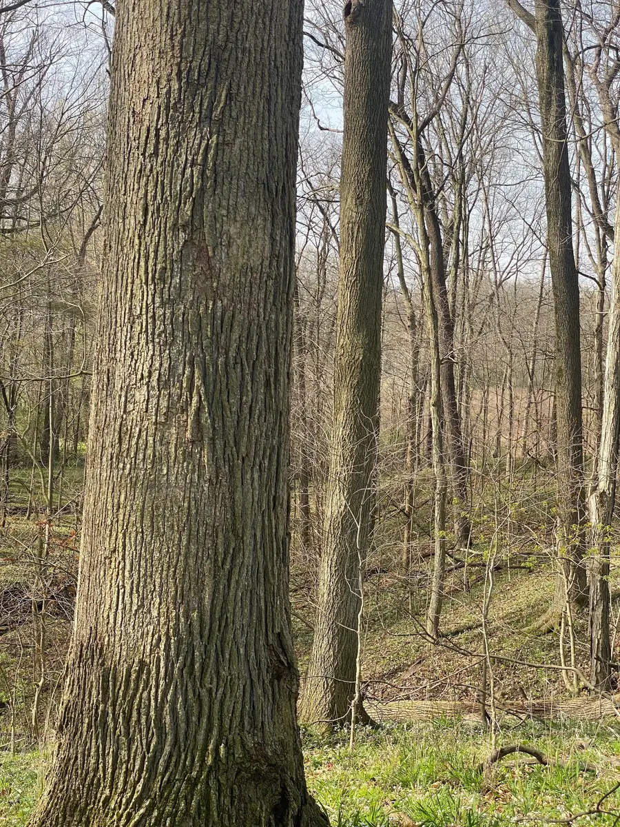 #3