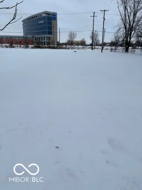 410 Jersey Street, Westfield, IN 46074 - #1