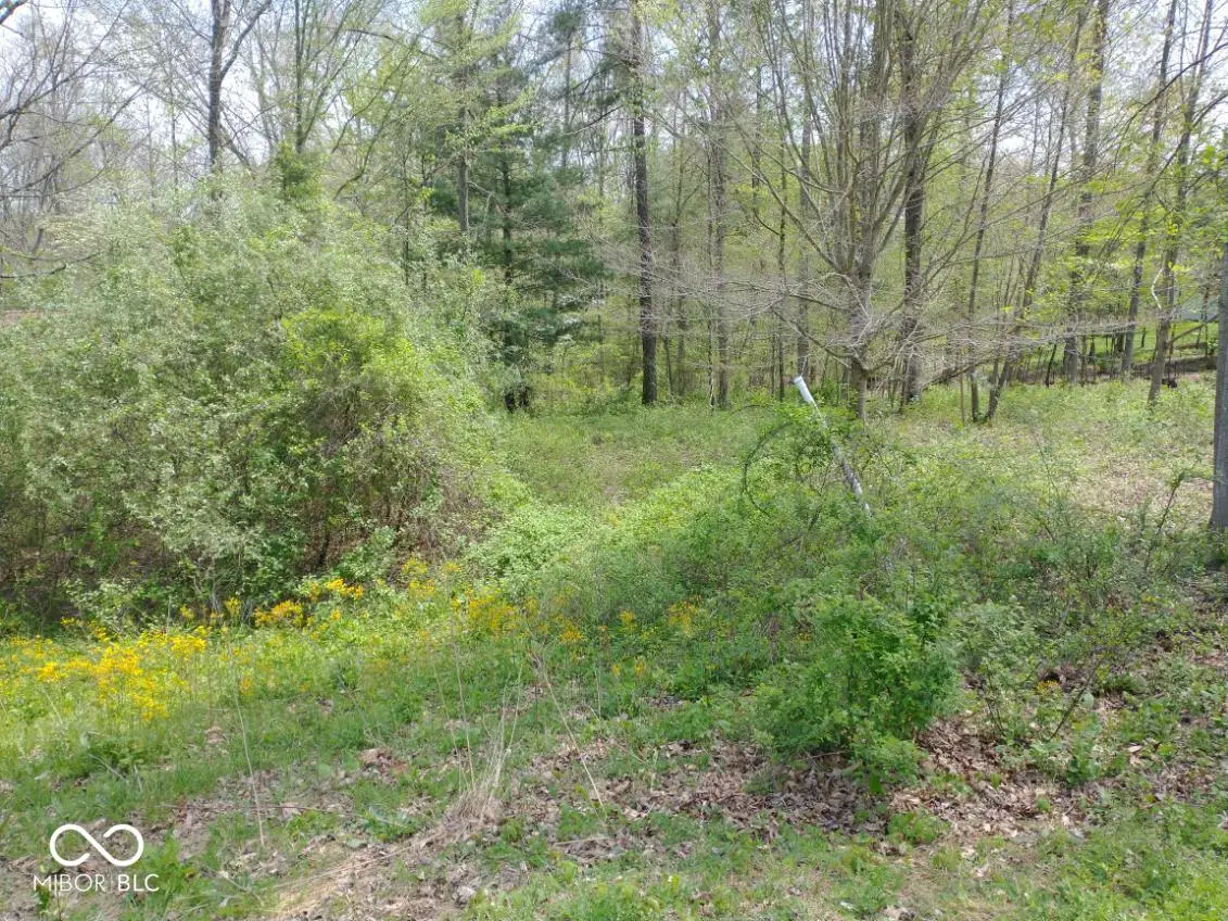 155 Pine Valley Court, Nashville, IN 47448 - Image #1