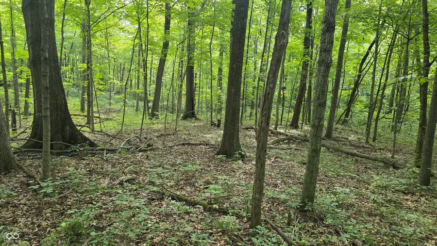 #2