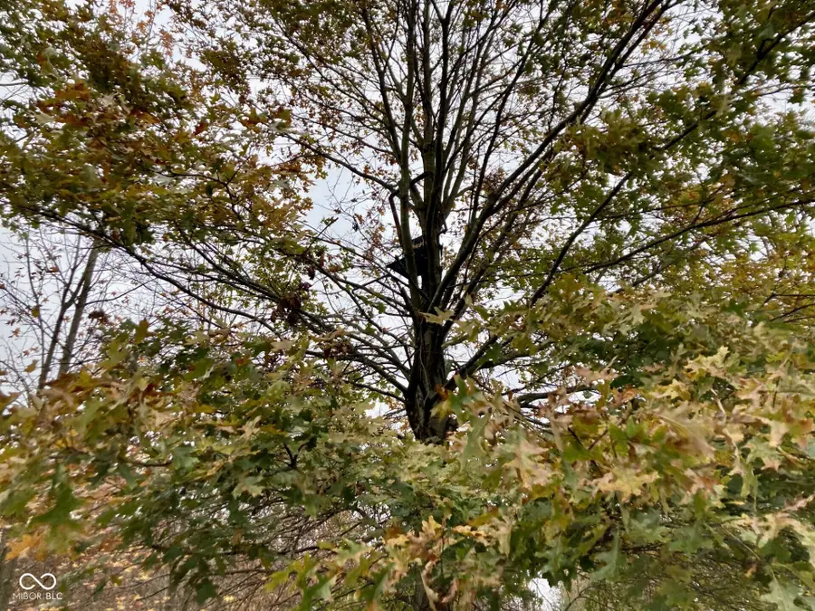 0 S Iron Mt Road, Bloomfield, IN 47424 - Image #3