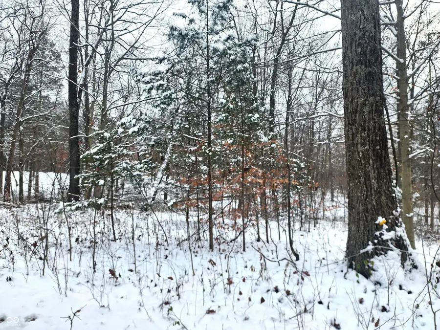 TBD Dogwood Acres Drive, Williams, IN 47470 - Image #3