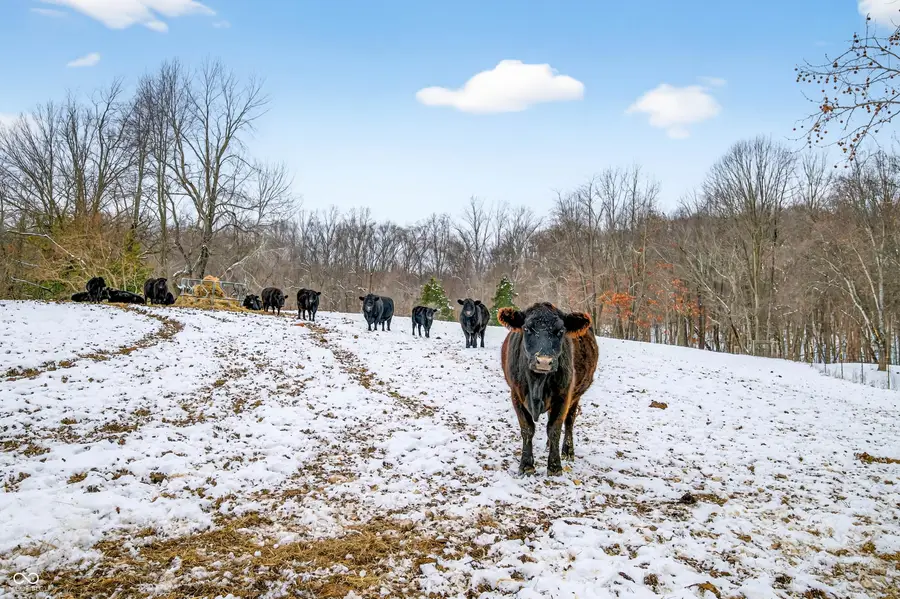 976 Vinegar Hill Road, Bedford, IN 47421 - Image #3