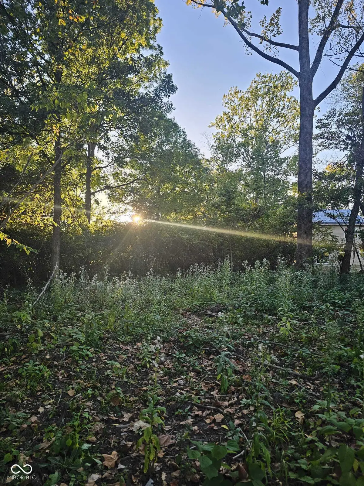 10464 Mcpherson Street, Carmel, IN 46280 - Image #1