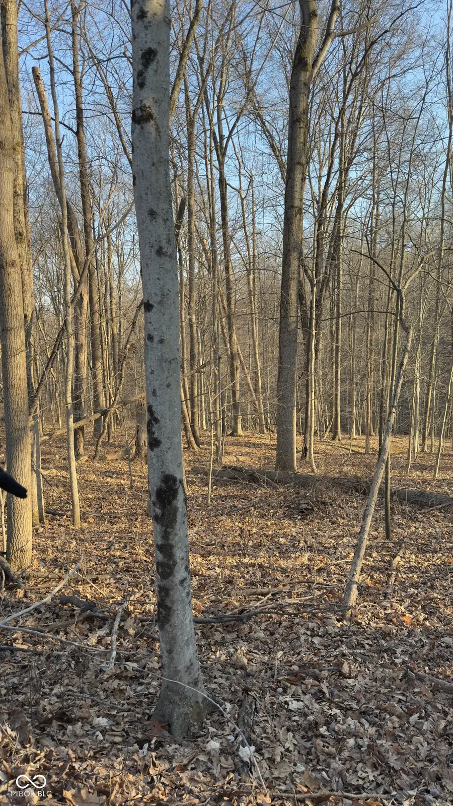 600 South, Reelsville, IN 46171 - #2