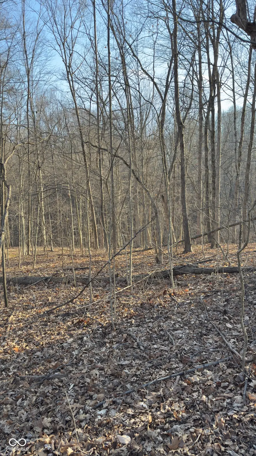 600 South, Reelsville, IN 46171 - #3