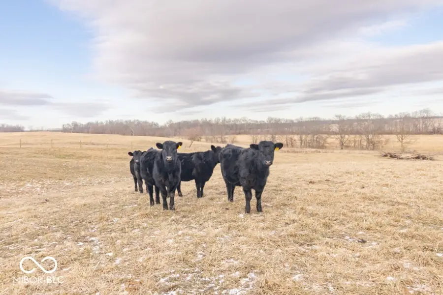 90A*** S County Road 100 E, Lewisville, IN 47352 - #3