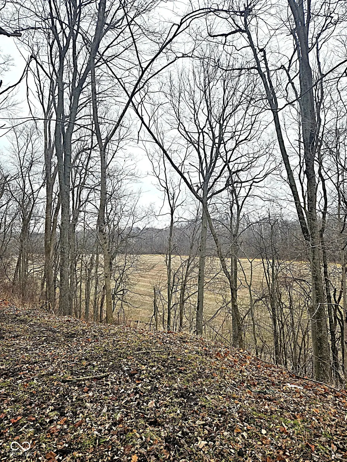 5921 N County Road 500 E, Bainbridge, IN 46105 - #1