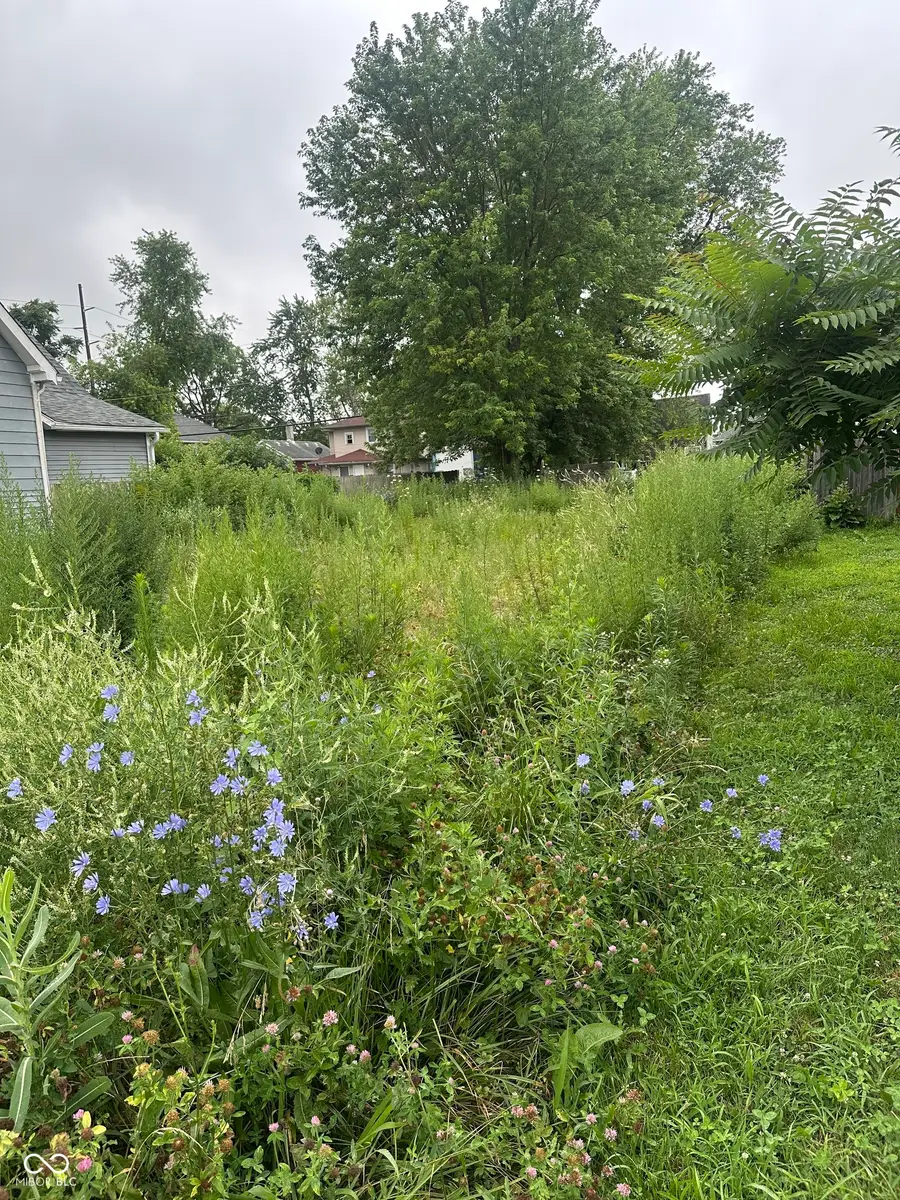 1622 Draper Street, Indianapolis, IN 46203 - #2