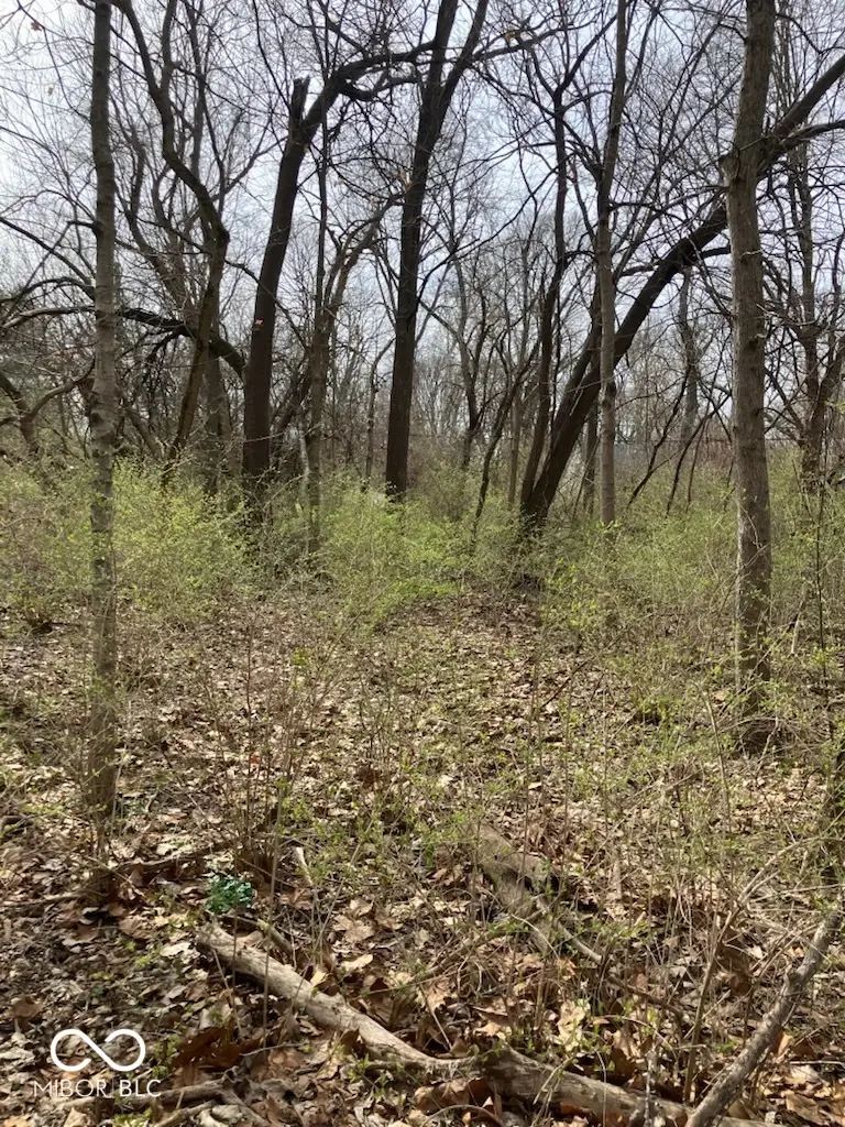 2509 E 80th Street, Indianapolis, IN 46240 - #2