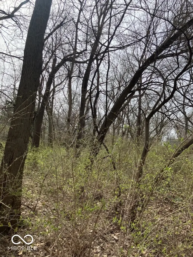 2509 E 80th Street, Indianapolis, IN 46240 - #3