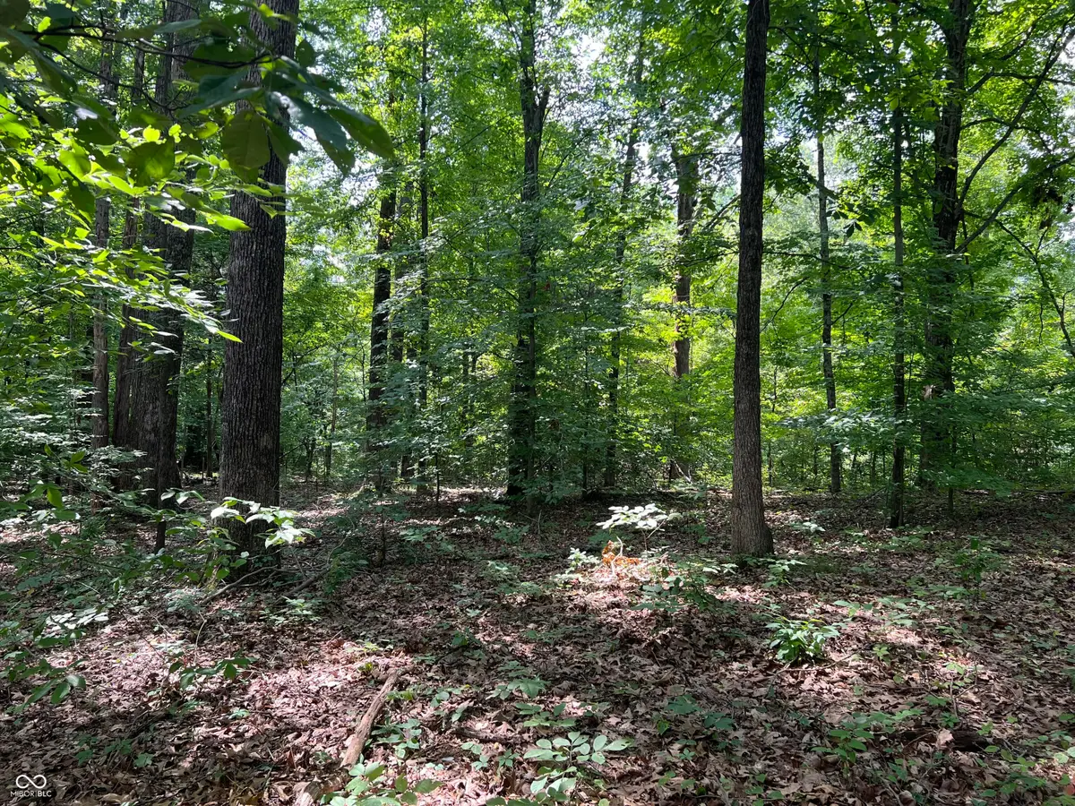 3501 S Swartz Ridge Road, Bloomington, IN 47401 - #1