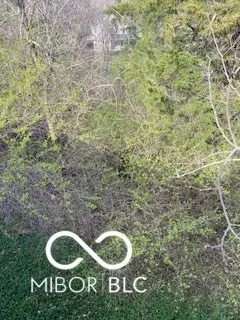 Address Withheld By Seller, Bloomington, IN 47401 - #3