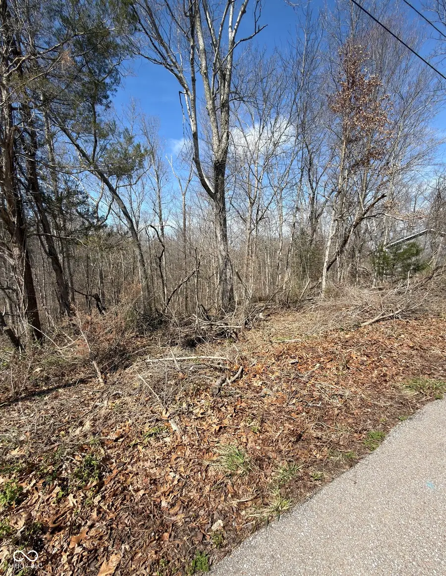 0 Treetop Lane, Nashville, IN 47448 - #2
