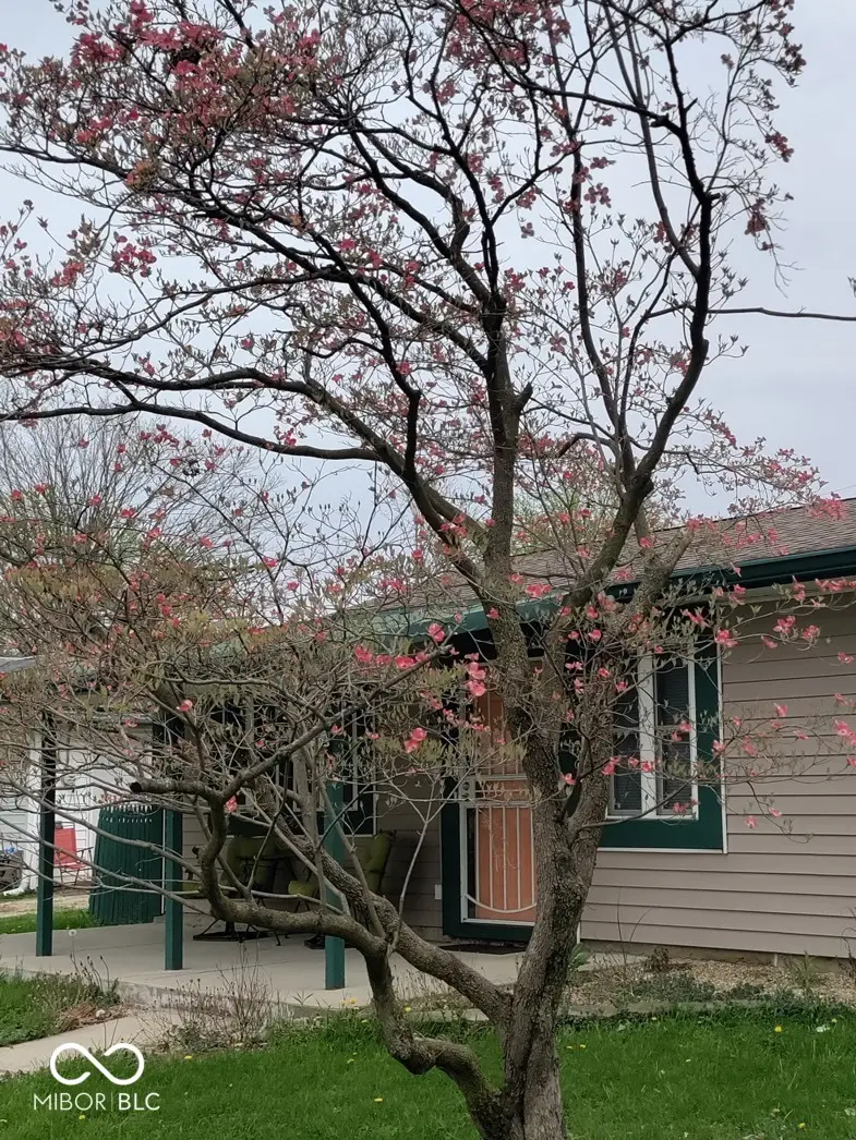 5219 N Sadlier Drive, Indianapolis, IN 46226 - #2