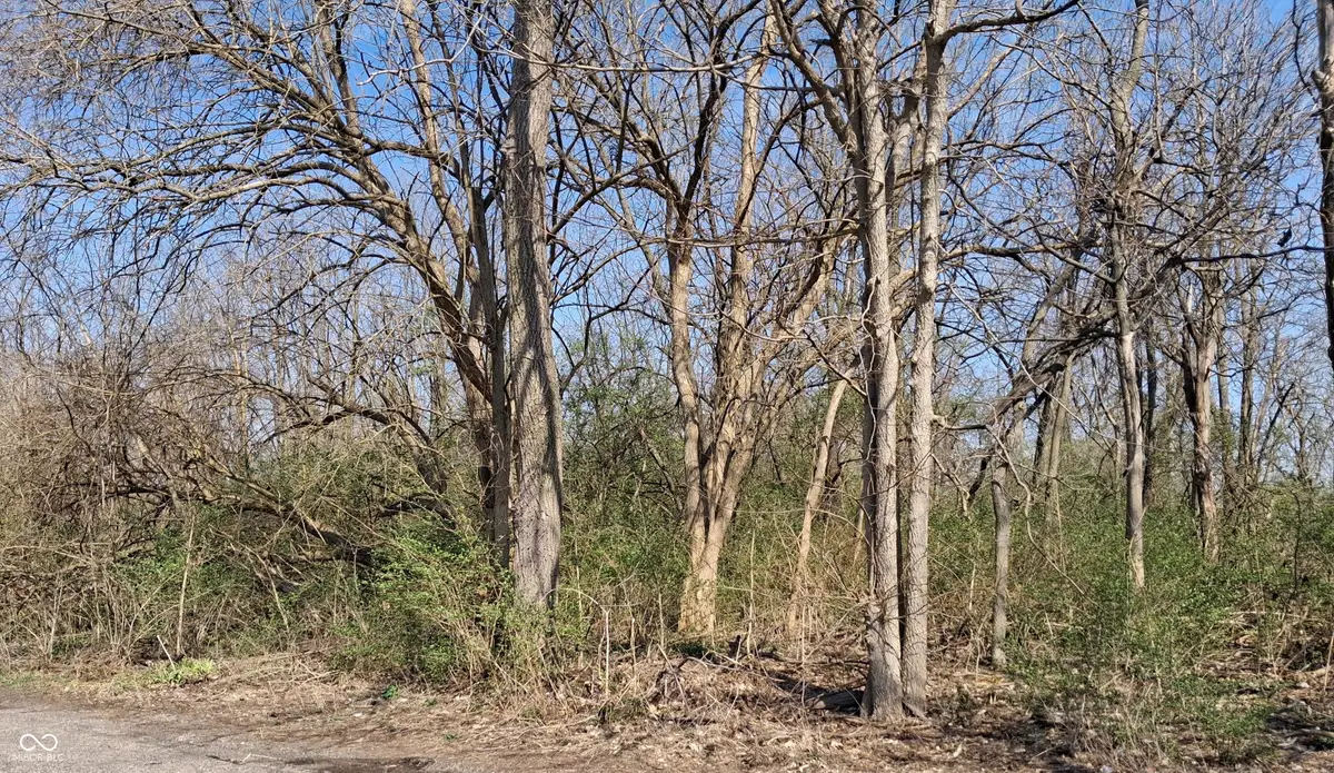 1843 Luther Street, Indianapolis, IN 46203 - #1