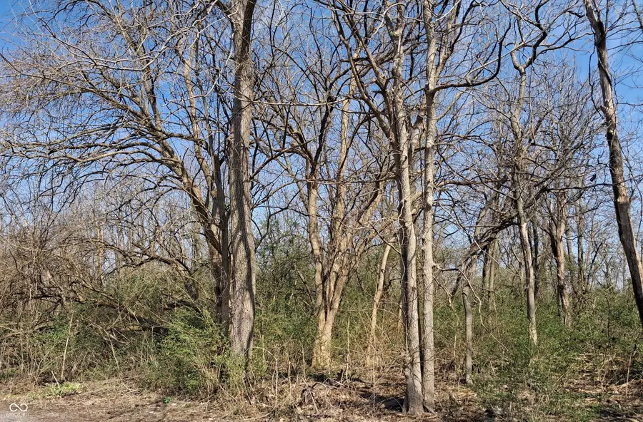 1843 Luther Street, Indianapolis, IN 46203 - #2