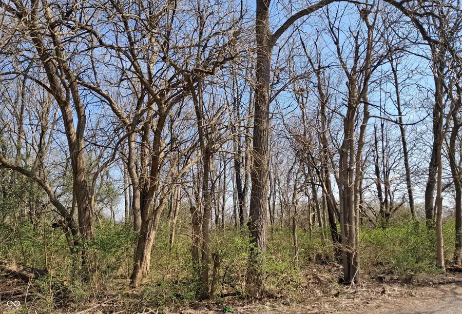 1845 Luther Street, Indianapolis, IN 46203 - #2