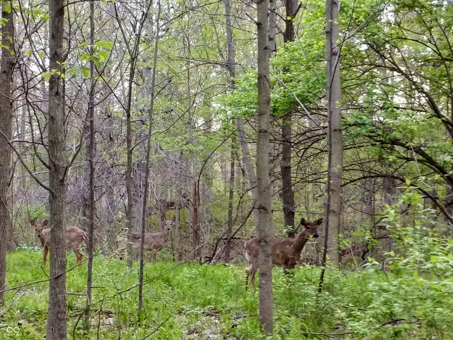 Lot 253 Ottawa Circle, Crawfordsville, IN 47933 - #2