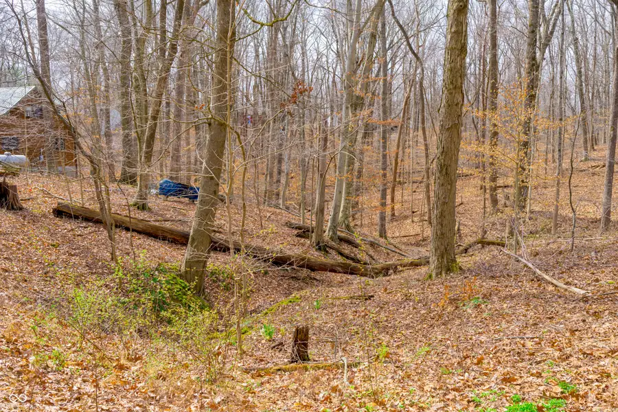 8374 Bluegill Drive, Nineveh, IN 46164 - #2