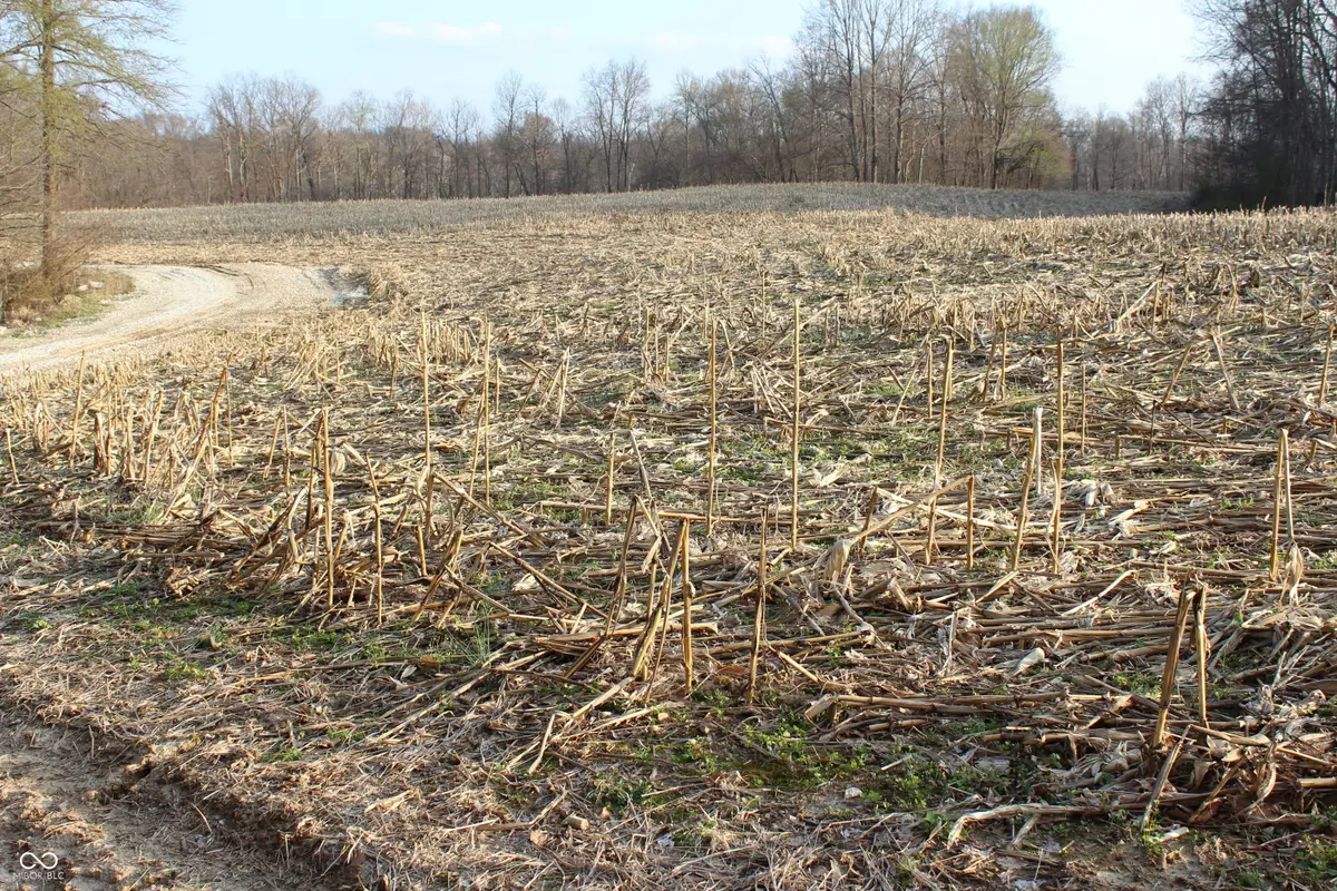 400 W Rural Plat Lot 2, Greencastle, IN 46135 - #1