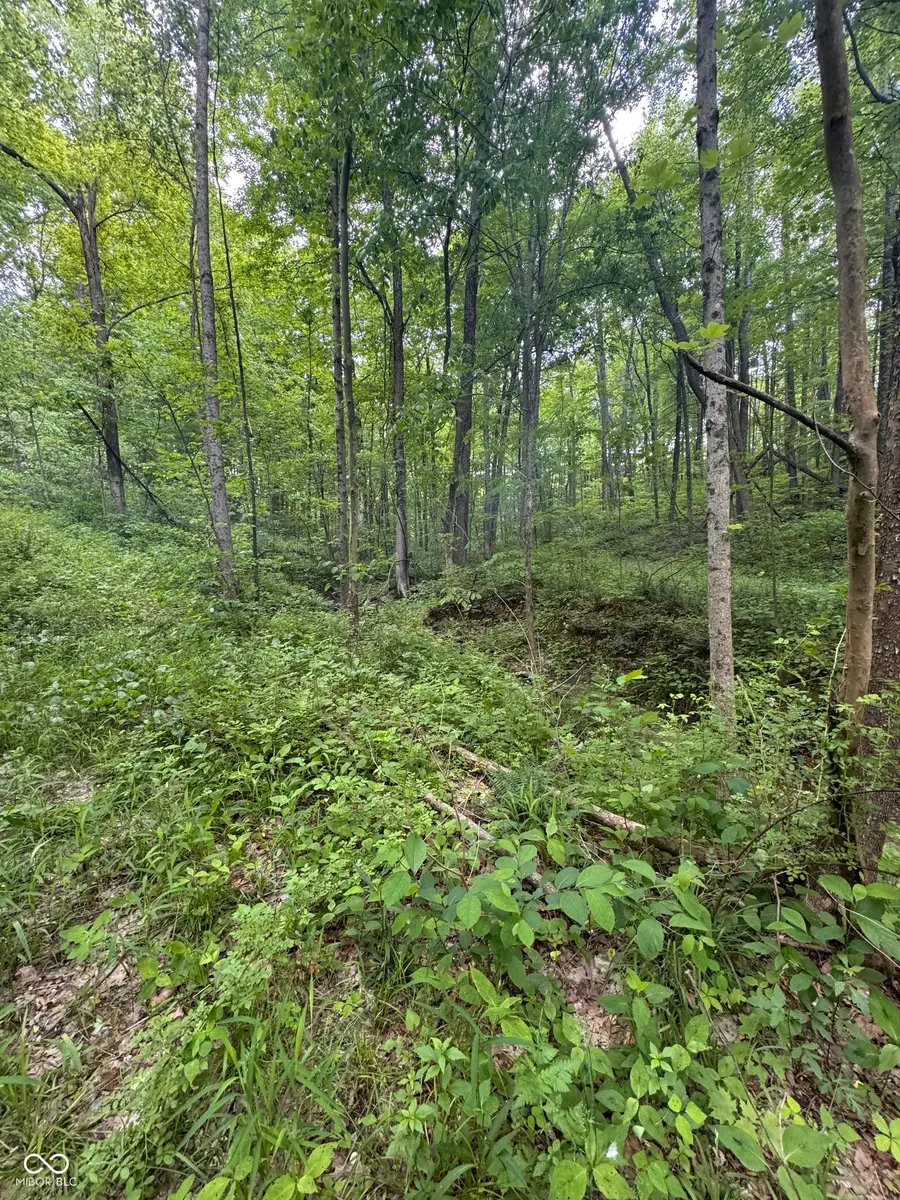 6620 W Duvall Road, Bloomington, IN 47403 - #3