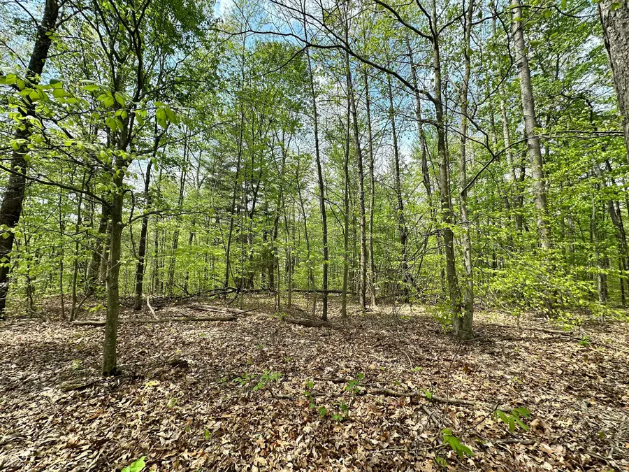 2013-2006 S Austin Court, Martinsville, IN 46151 - #3